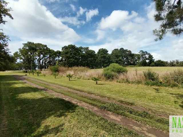 place photo 41