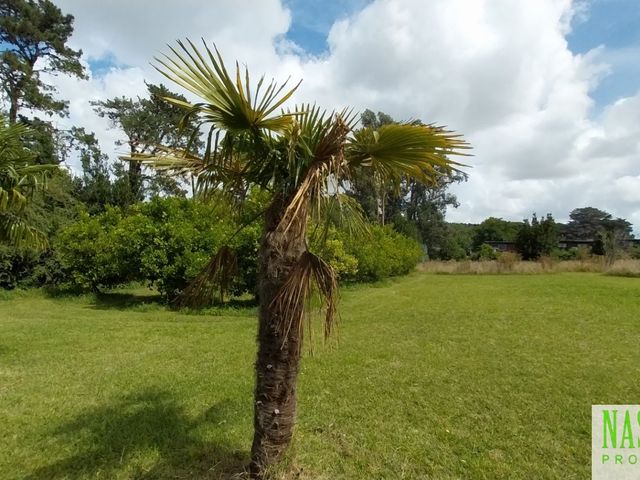 place photo 36
