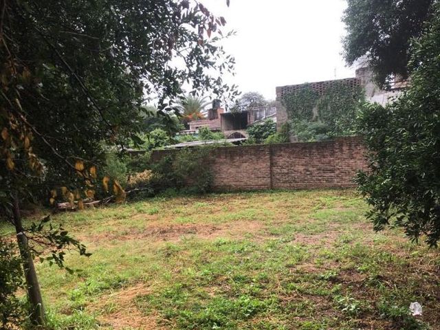 place photo 12