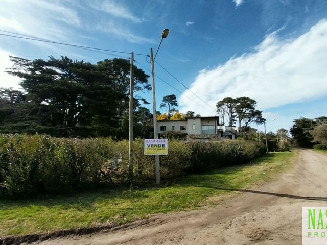 place photo 47