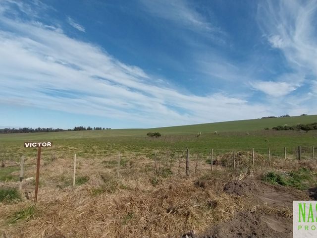 place photo 46