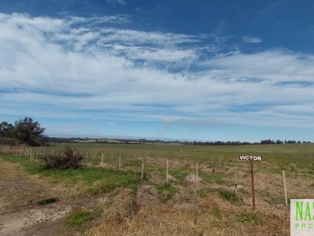 place photo 45