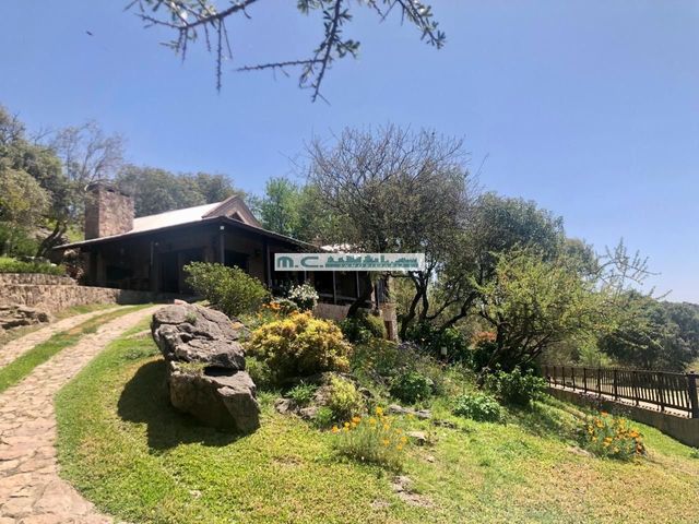 place photo 45