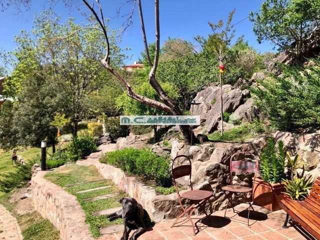 place photo 40