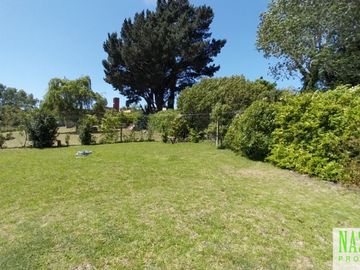 place photo 55