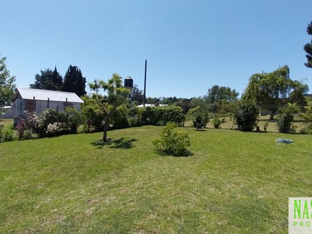 place photo 54