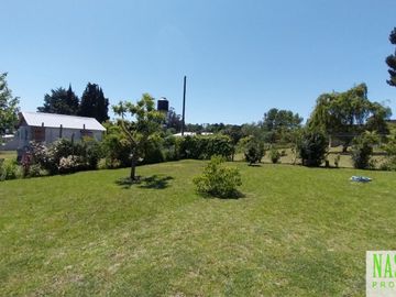 place photo 54