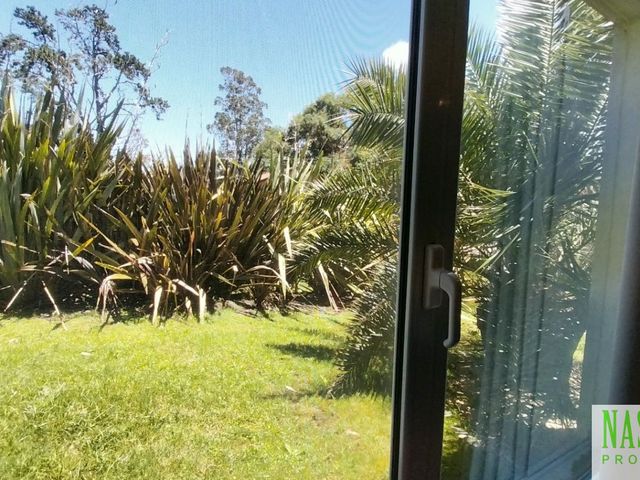 place photo 52