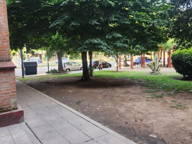place photo 21