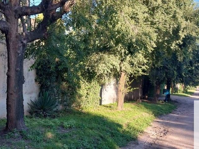 place photo 49