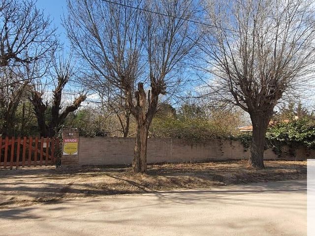 place photo 50