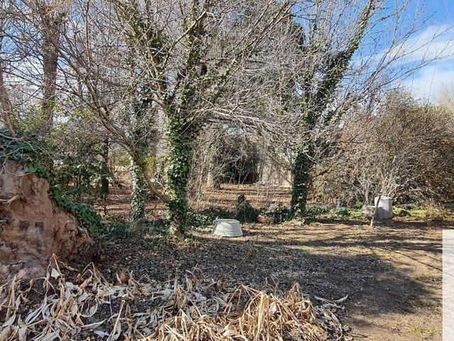 place photo 36