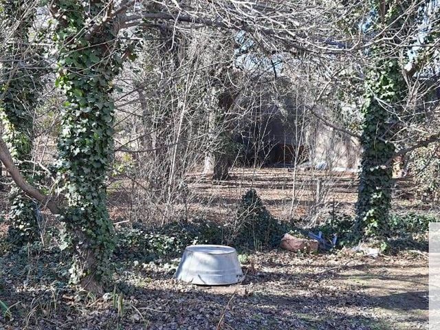 place photo 35