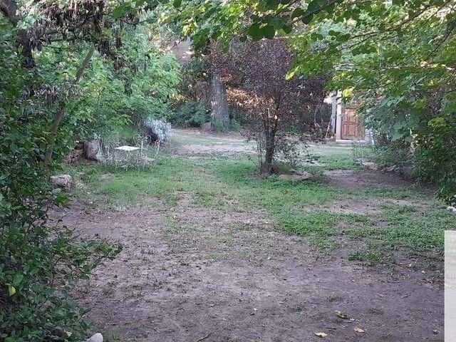 place photo 46