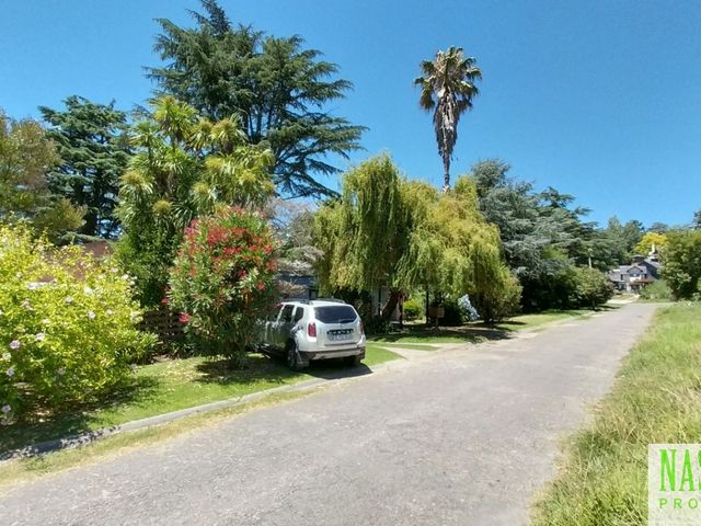 place photo 41