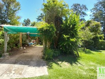 place photo 38