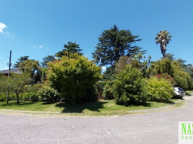 place photo 42