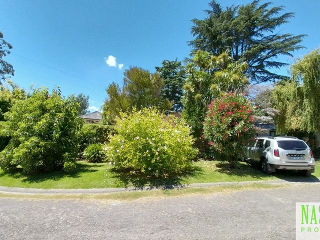 place photo 40