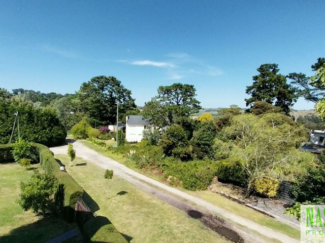 place photo 39