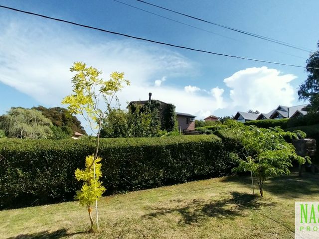 place photo 53