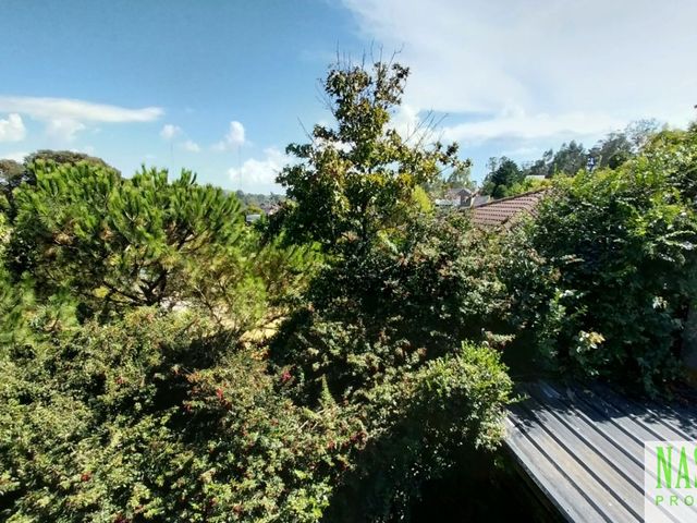 place photo 49