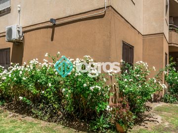 place photo 34