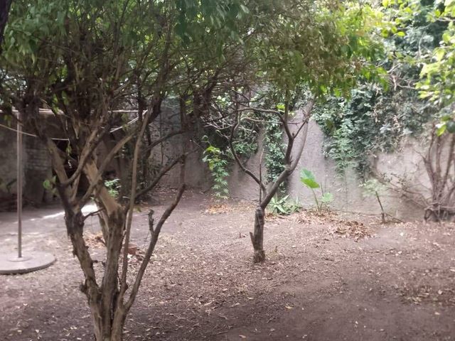 place photo 25