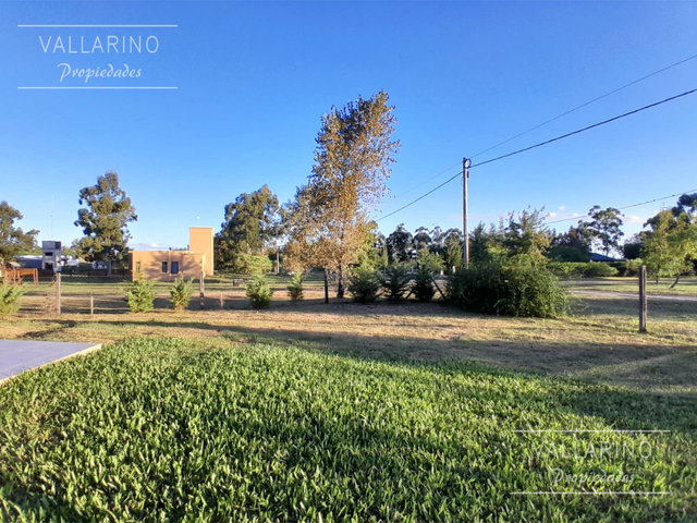place photo 18