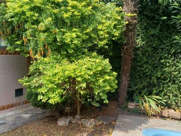 place photo 40