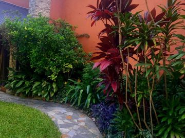 place photo 37
