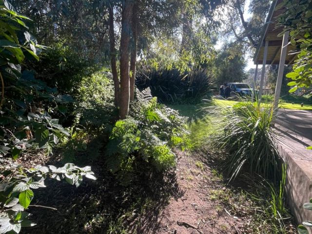 place photo 28