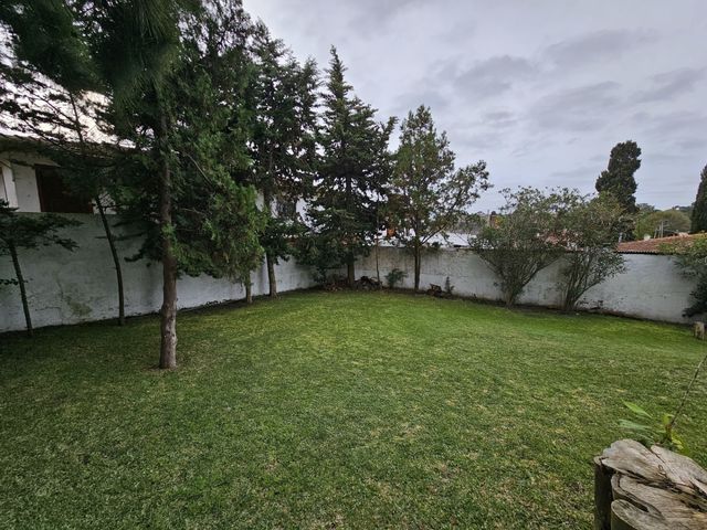 place photo 58