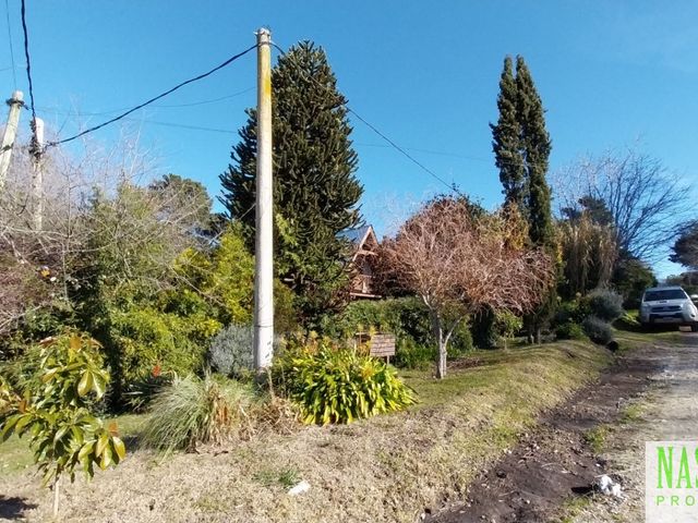 place photo 31