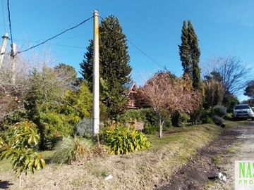 place photo 31