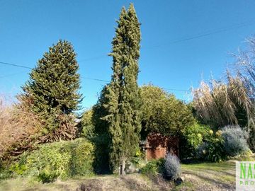 place photo 32