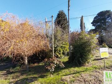 place photo 29