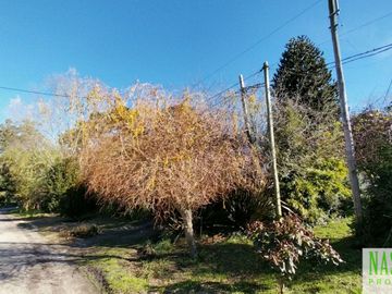 place photo 30