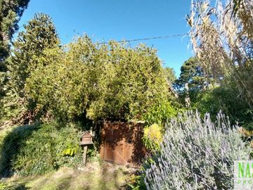 place photo 33