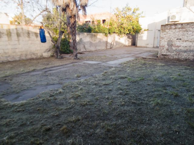 place photo 14