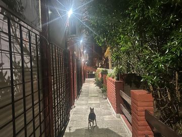 place photo 32