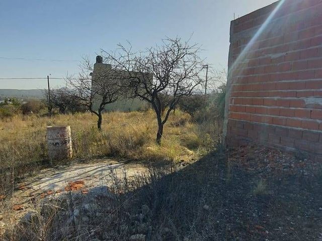 place photo 46