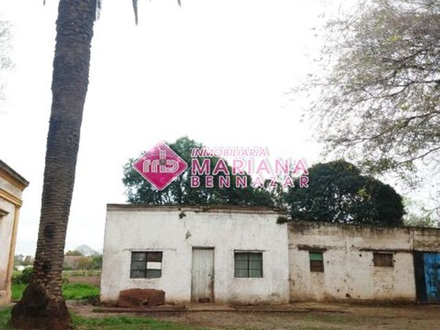 place photo 2