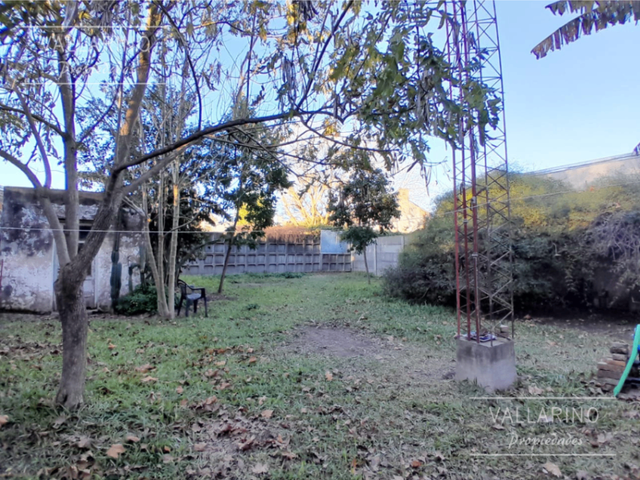 place photo 17