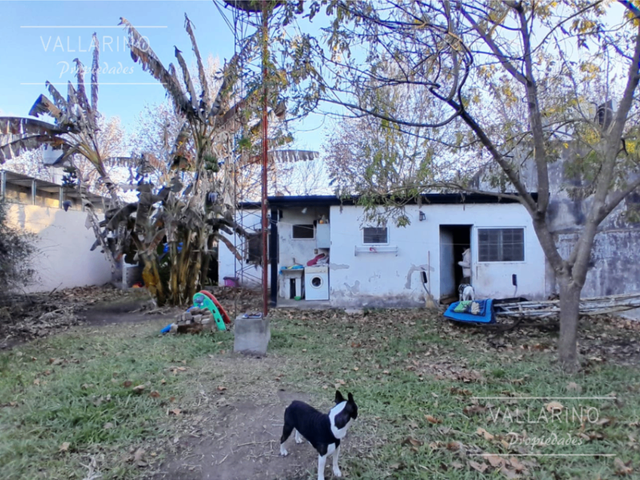 place photo 23