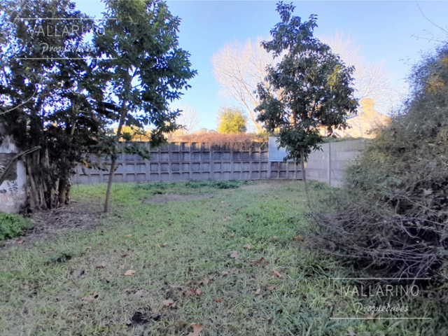 place photo 18