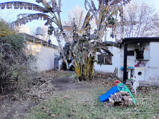 place photo 19
