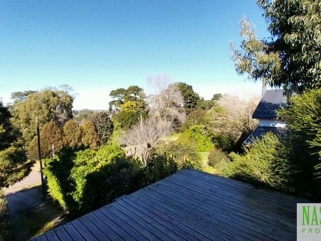 place photo 46