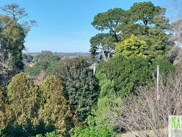 place photo 47
