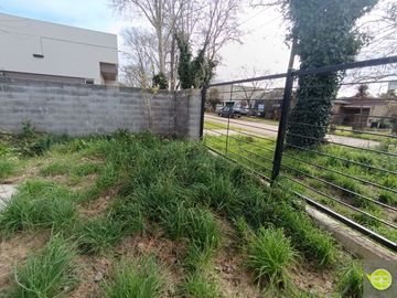 place photo 10
