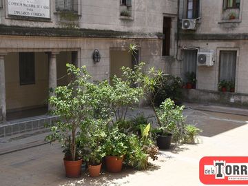 place photo 37